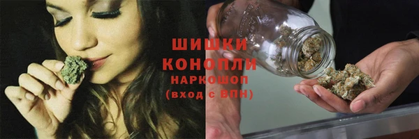 молекула духа Заволжье