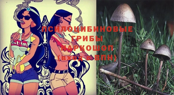 марки lsd Заводоуковск