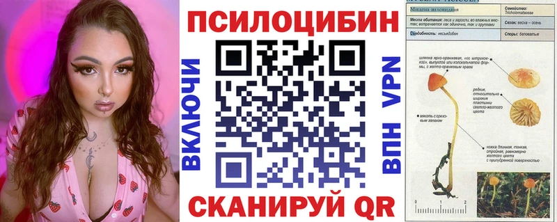 цена Приморск Галлюциногенные грибы мухоморы